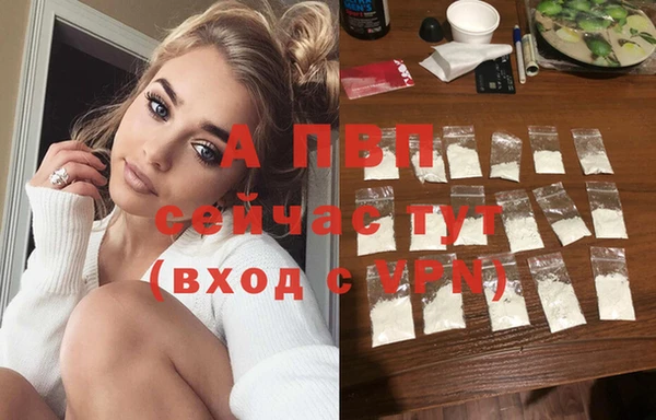 стаф Абинск